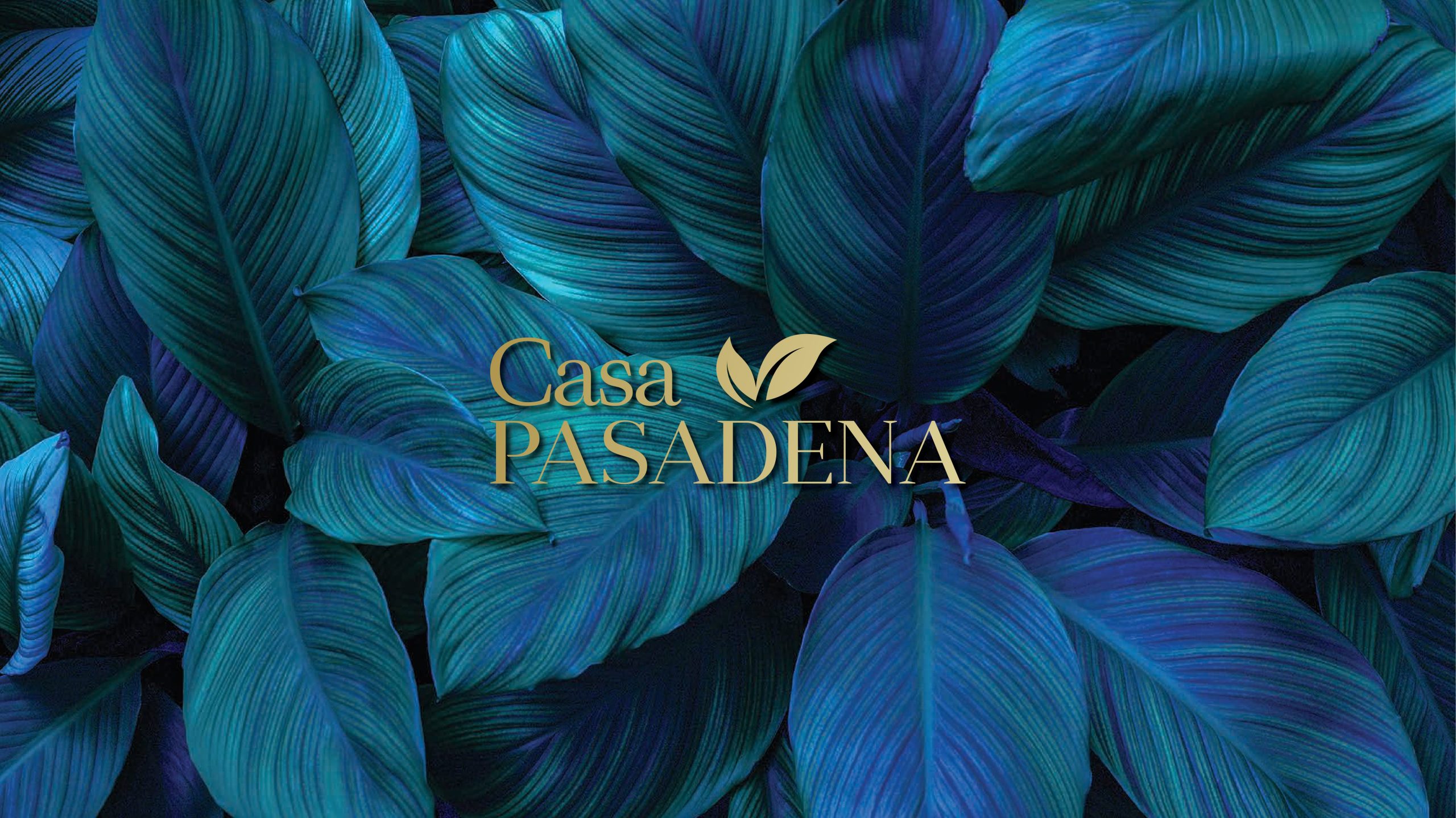 CASA PASADENA